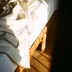 Bed Bugs photo by Pexels Diana Onfilmr Bed Bugs